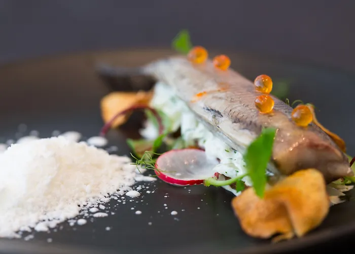 Hotel Shuum Boutique - Destigo 4*