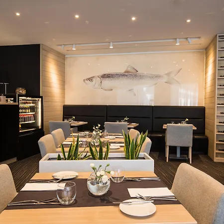 Shuum Boutique - Destigo 4*