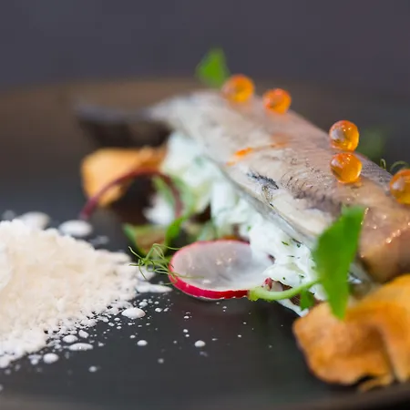 Hotell Shuum Boutique - Destigo 4*