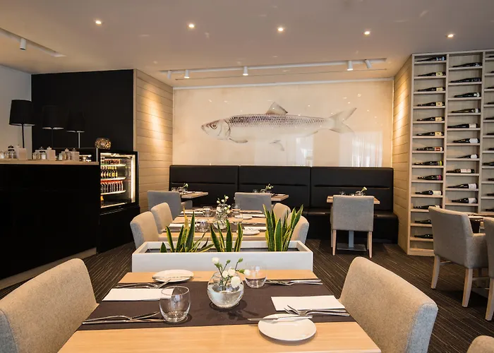 Shuum Boutique - Destigo 4*