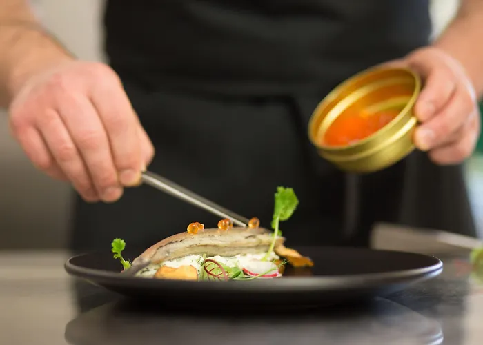 Shuum Boutique - Destigo